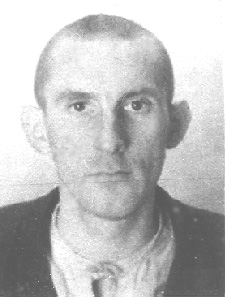 ����  ������