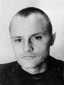 ���������  ���������