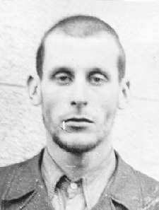 �������  ո���