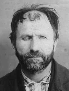 ������ ���������� �������