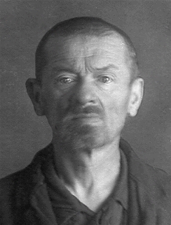 ���� ��������� ���������