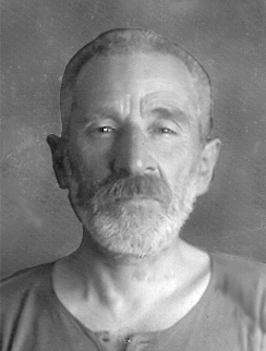 ���� ��������� ����������