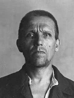 ������ ���������� ��������