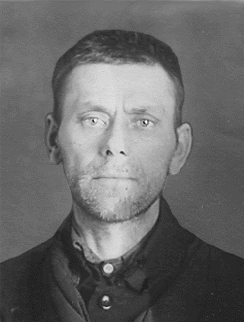 ������ ���������� ����