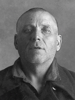 ���� ����������� �������