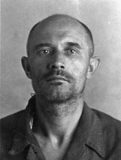 ���� ��������� �������