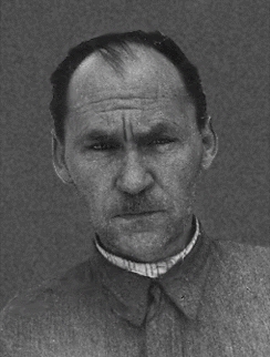 ���� �������� �������