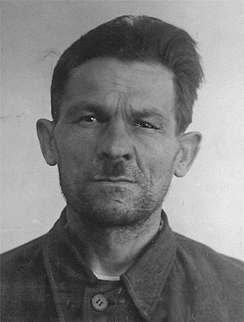 ���� ��������� �������