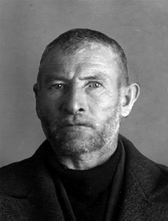 ������������ ��������������� ����������