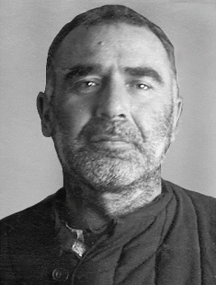 ���� ��������� ��������