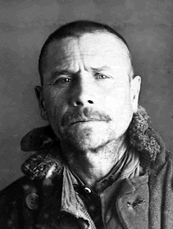 ���� ��������� ���������