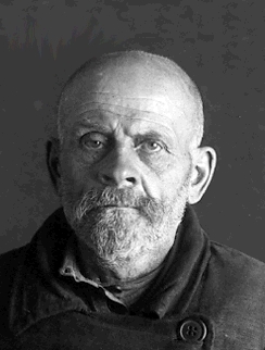 ���� ���������� ��������