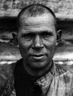 ����� ���������� ����