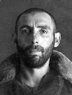 ����� ��������� ��������