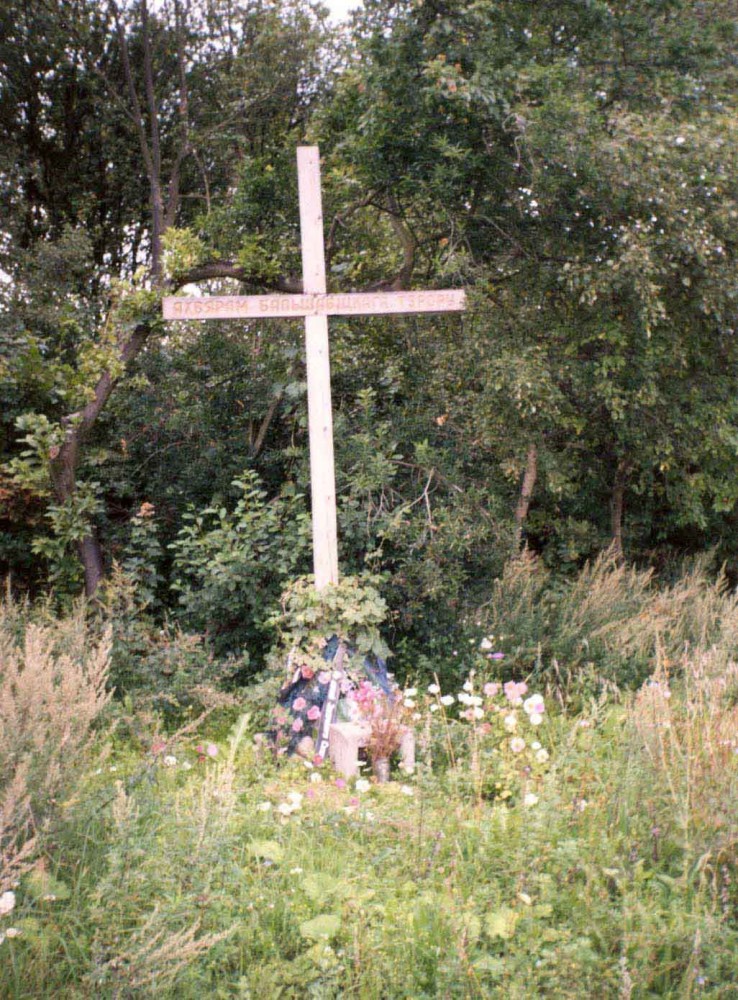 Номер фотографии 1 : Памятный крест на месте расстрелов и захоронений жертв большевистского террора : Лощицкий парк : фотограф Н. Дейнега, В. Вергей