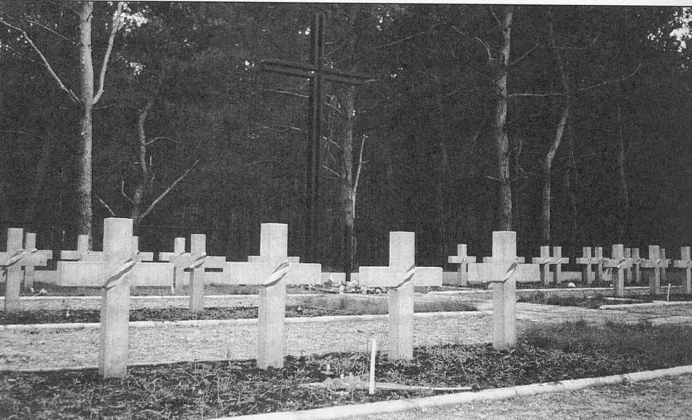 Номер фотографии 1 : Памятный крест польским ссыльным - узникам Старобельского лагеря : польское военное кладбище