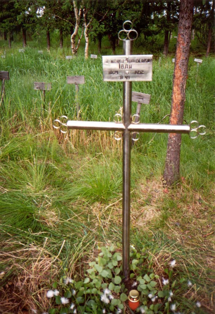 Номер фотографии 1 : Крест на могиле Ивана Фещенко-Чопивского : мемориальное кладбище : фотограф И. Федущак
