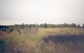 Фотография 2 : Поклонный крест на месте Кемского пересыльного пункта : фотограф Г. Елизарова
