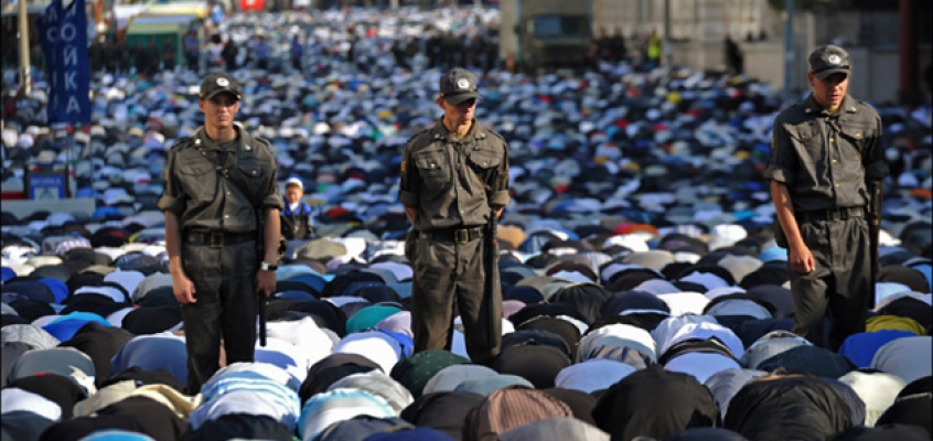 migration Миниатюра